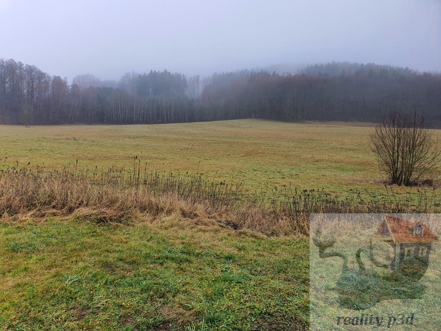 ?=20251219_135407.jpg - (12181986)