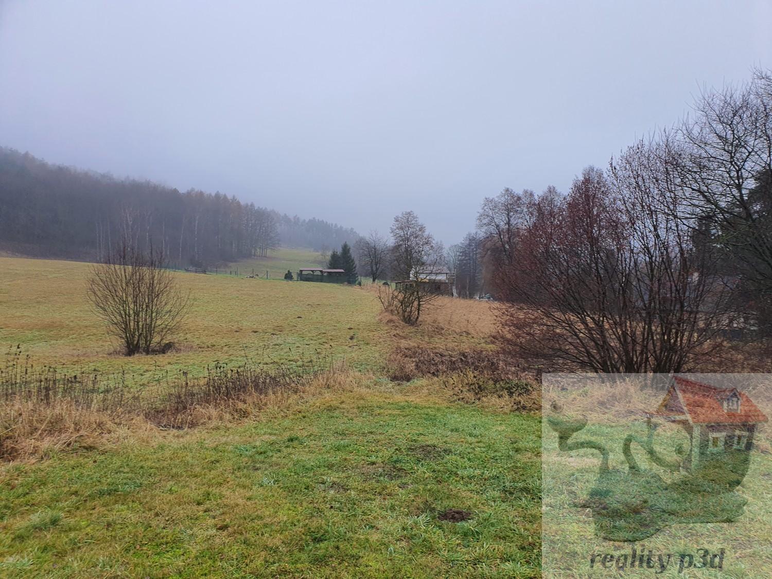 ?=20251219_135449.jpg - (12181987)