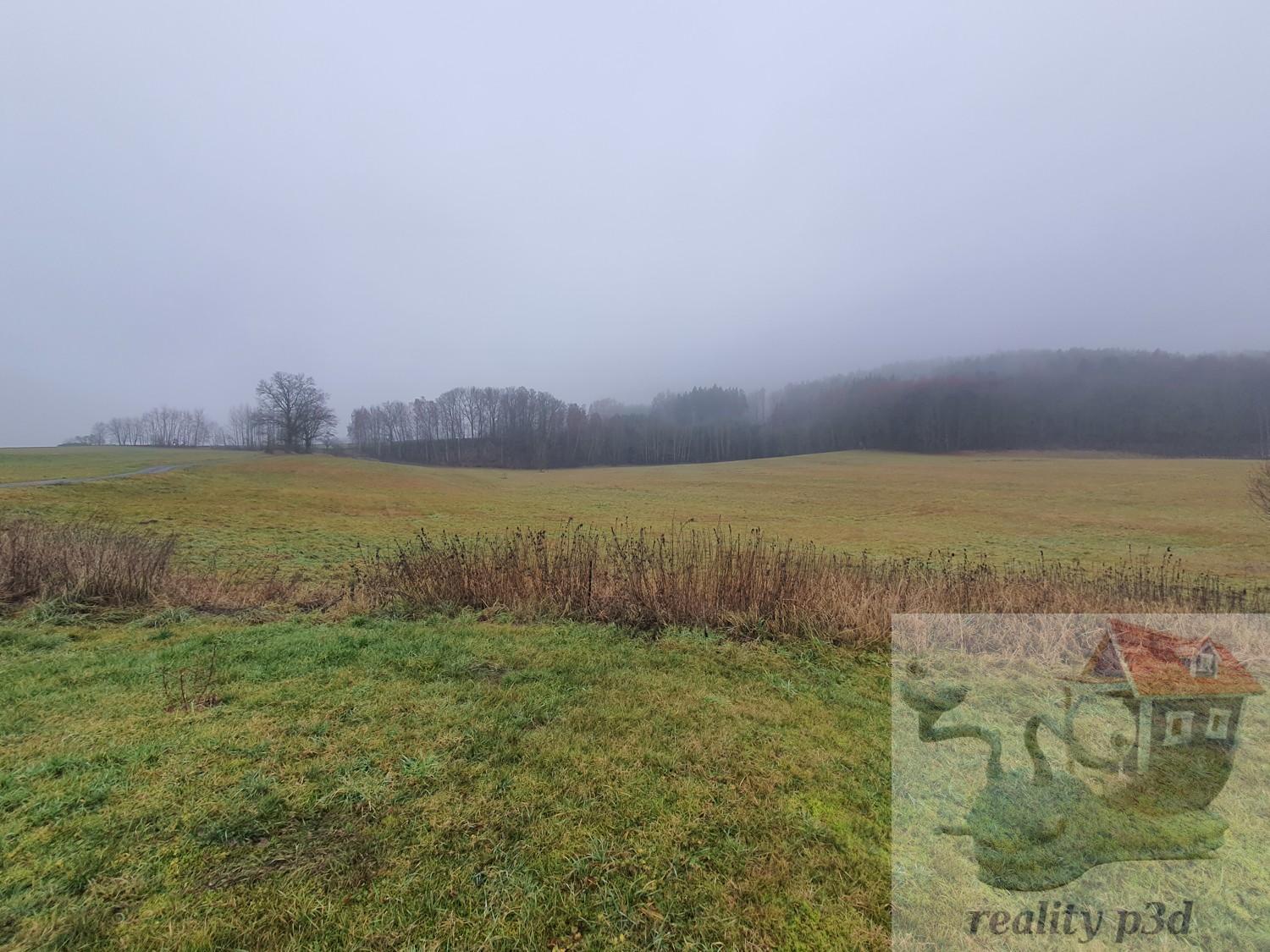 ?=20251219_135456.jpg - (12181990)