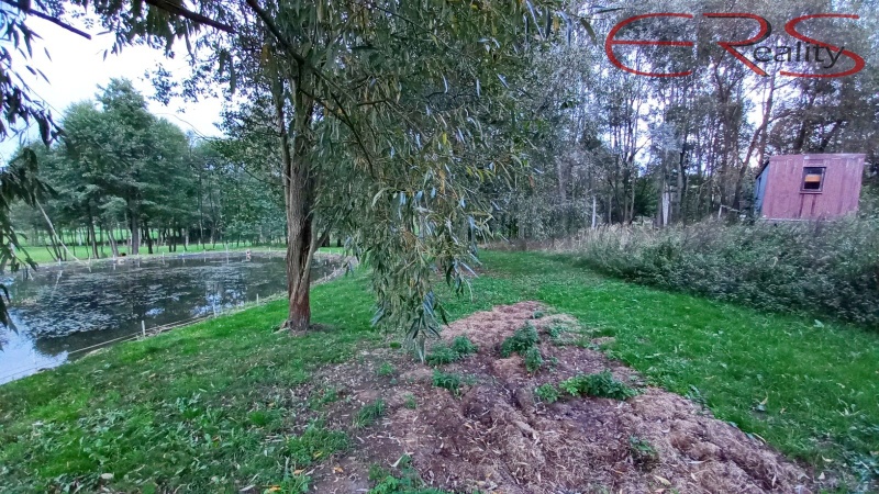 ?=foto 5 - (12185053)