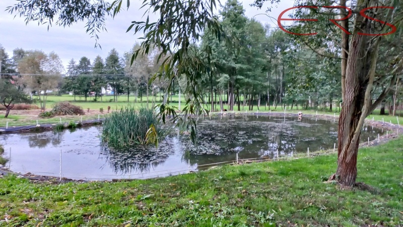 ?=foto 4 - (12185055)