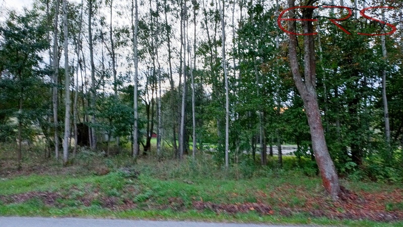 ?=foto 8 - (12185056)