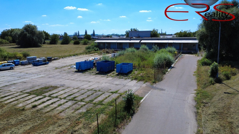 ?=dji_fly_20250819_131538_260_1755602456390_photo_optimized - (12193987)