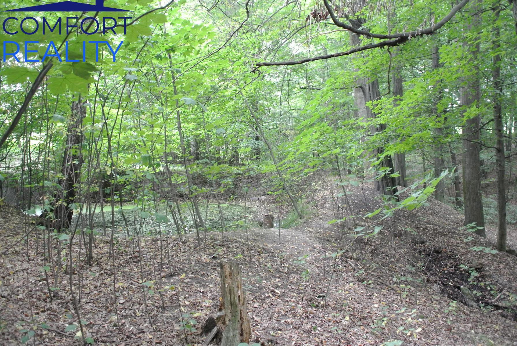 ?=DSC_1040.JPG - (12203768)