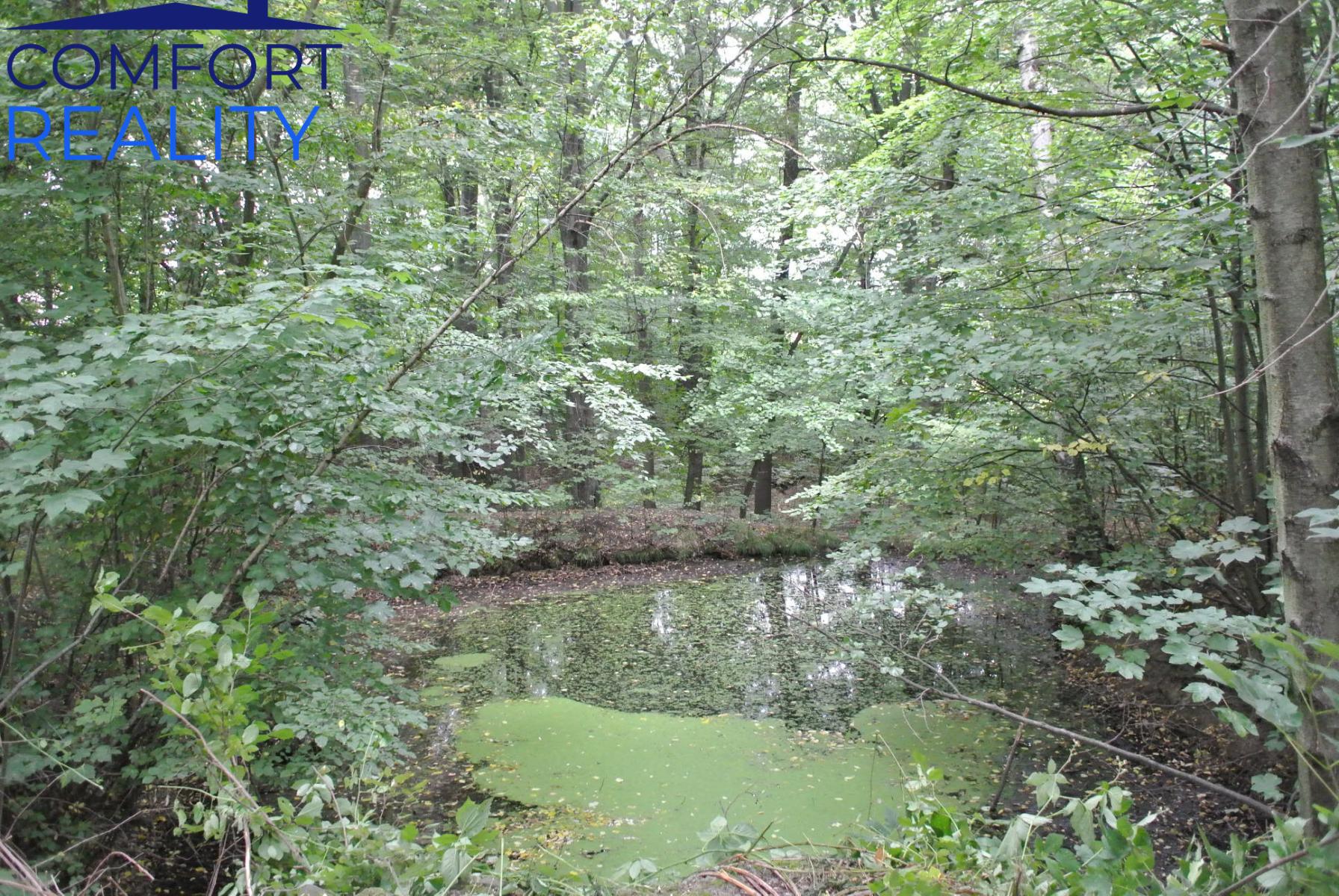 ?=DSC_1027.JPG - (12203769)