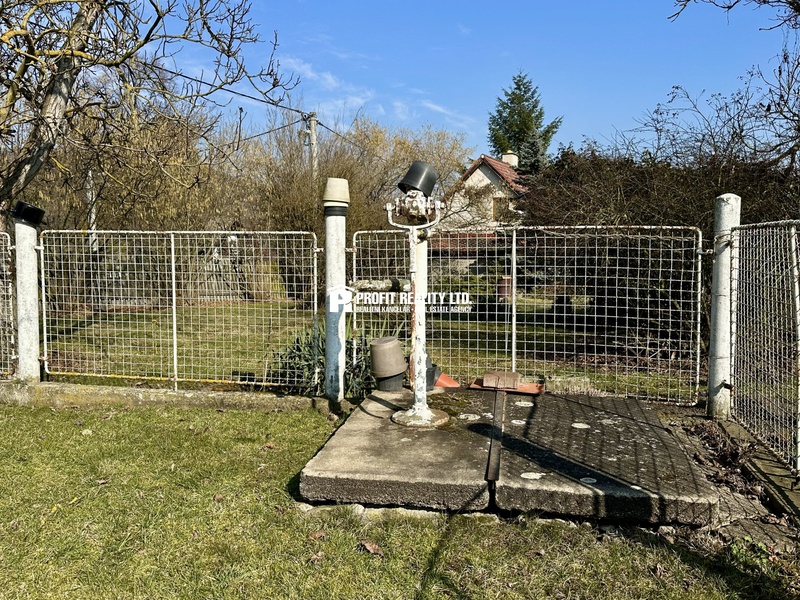 ?=IMG_9956 - (12213224)