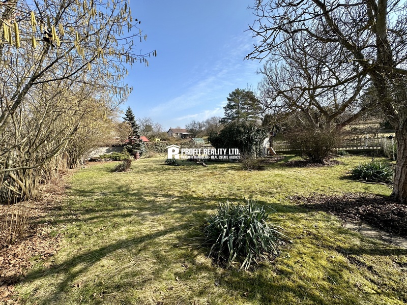 ?=IMG_9959 - (12213225)