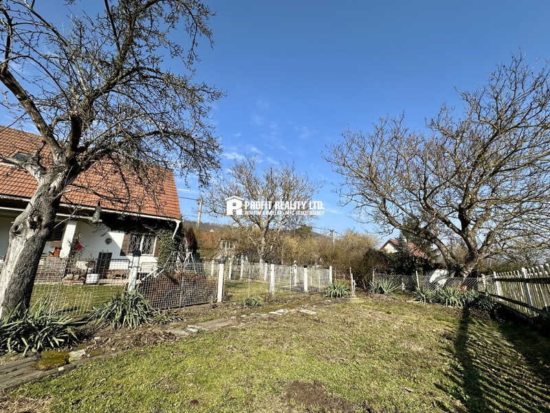 ?=IMG_9965 - (12213229)