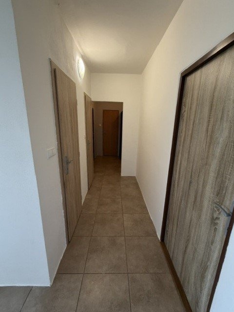 ?=5 - (12289220)